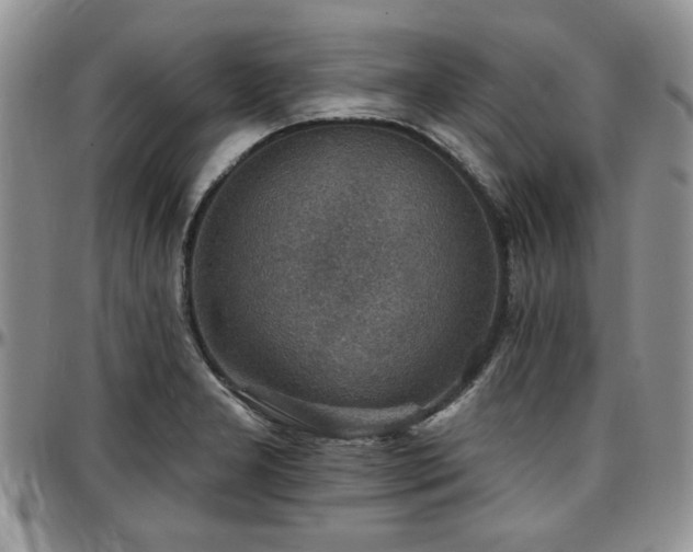 X0000097671277200802291452