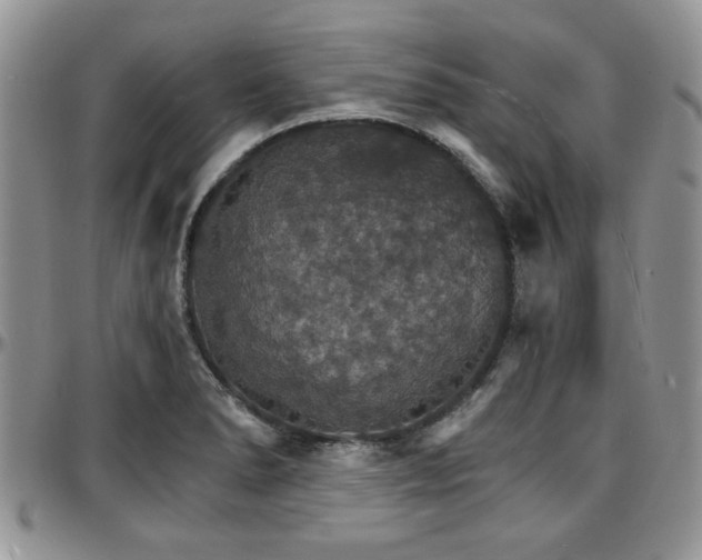 X0000097671278200802291452