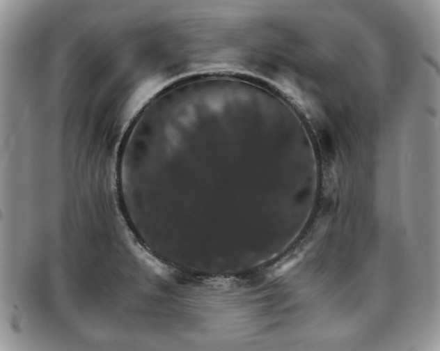 X0000097671279200802291452