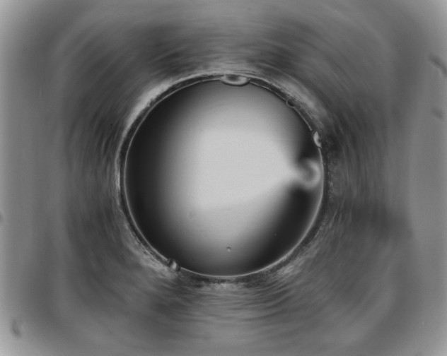 X0000097671280200802291452