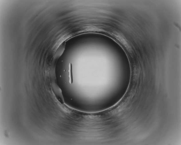 X0000097671281200802291452