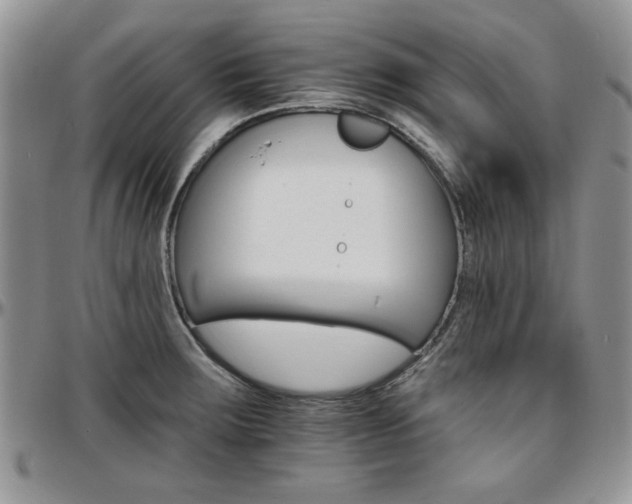 X0000097671283200802291451