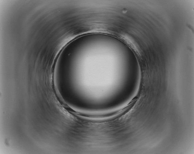 X0000097671284200802291451