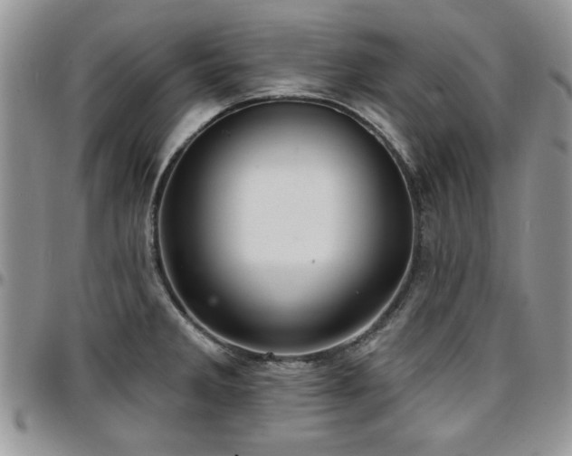 X0000097671285200802291451