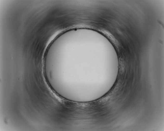 X0000097671286200802291451