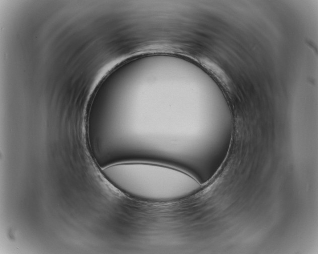 X0000097671288200802291451