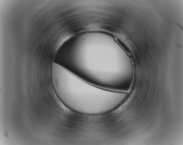 X0000097671289200802291451