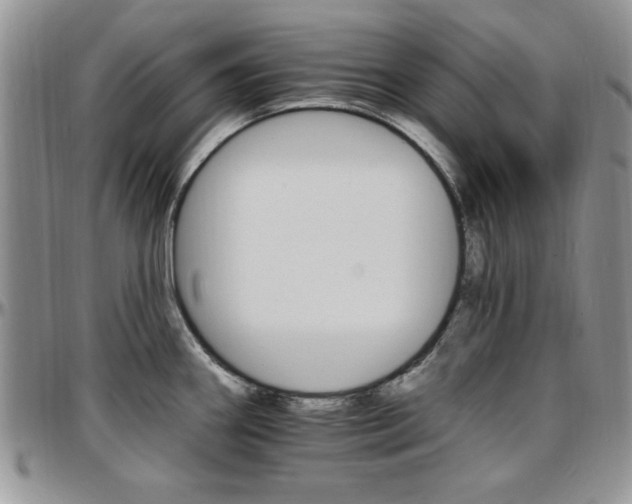 X0000097671290200802291451