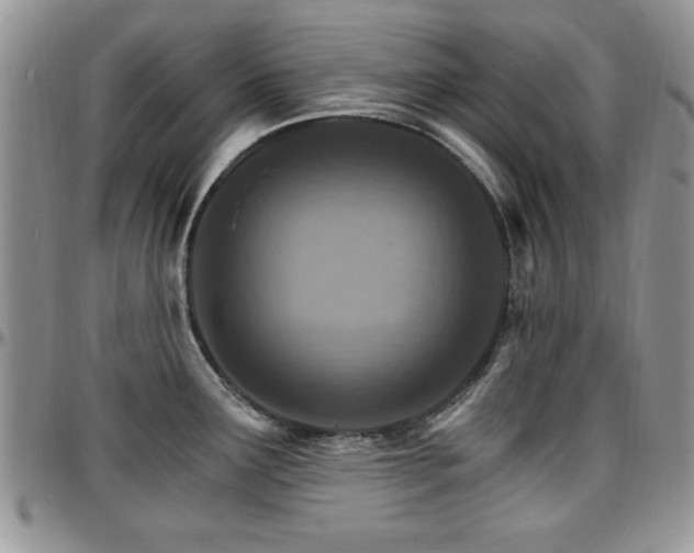 X0000097671291200802291451