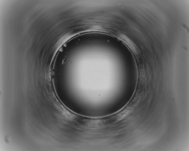 X0000097671292200802291451