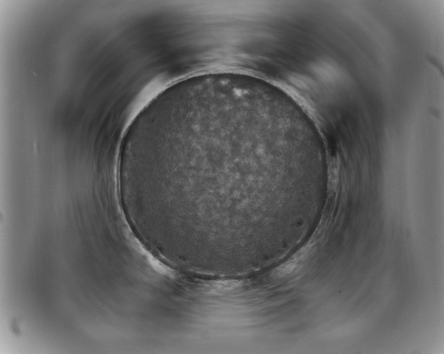 X0000097671294200802291451