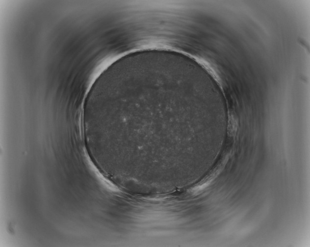 X0000097671295200802291451