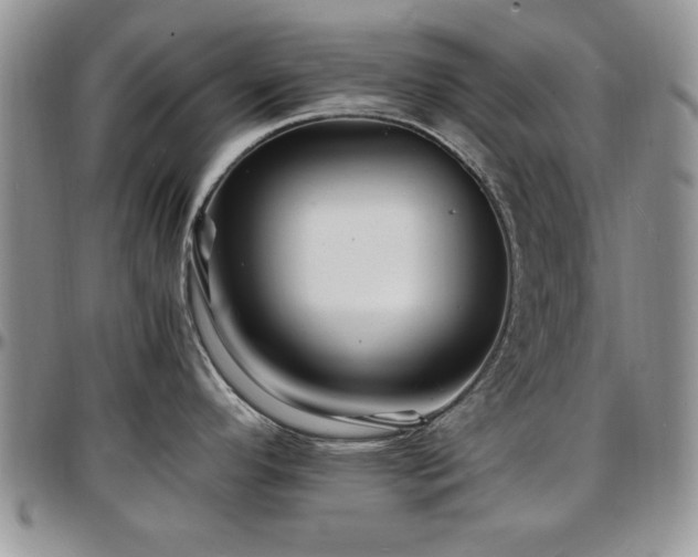 X0000097671296200802291451