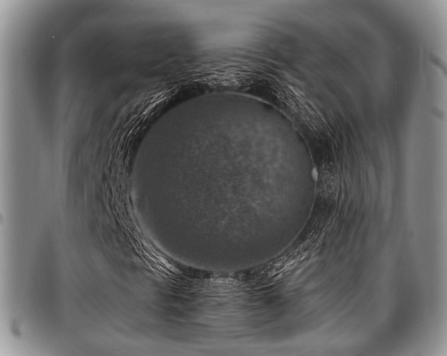 X0000097671297200802291450