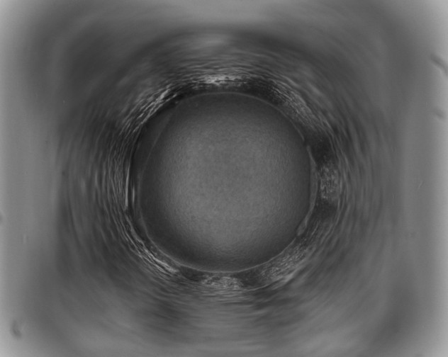 X0000097671298200802291450