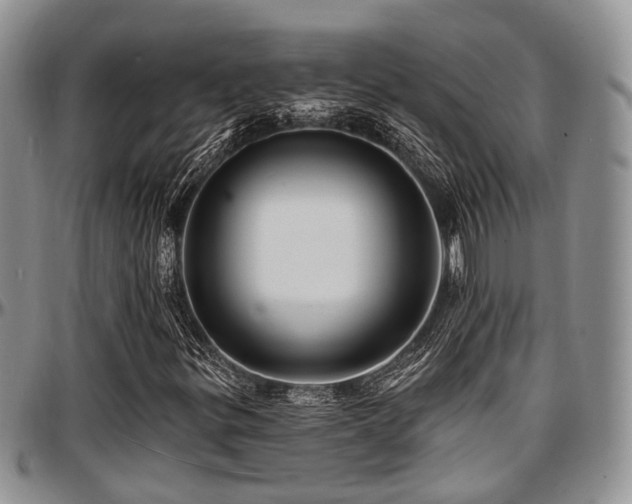 X0000097671299200802291450