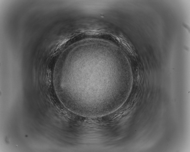 X0000097671301200802291451