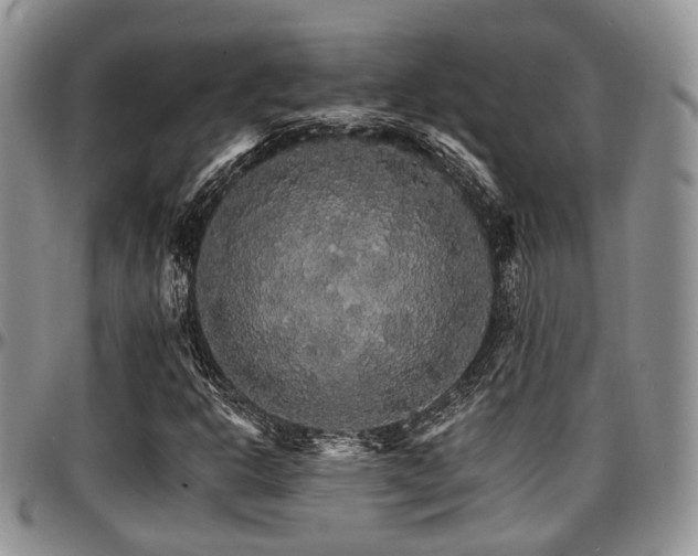 X0000097671302200802291451