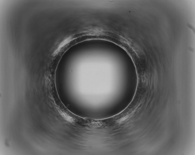 X0000097671304200802291451