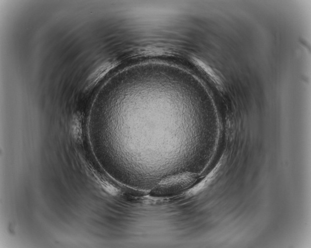 X0000097671305200802291451