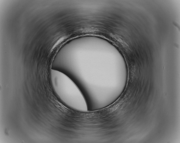 X0000097671306200802291451