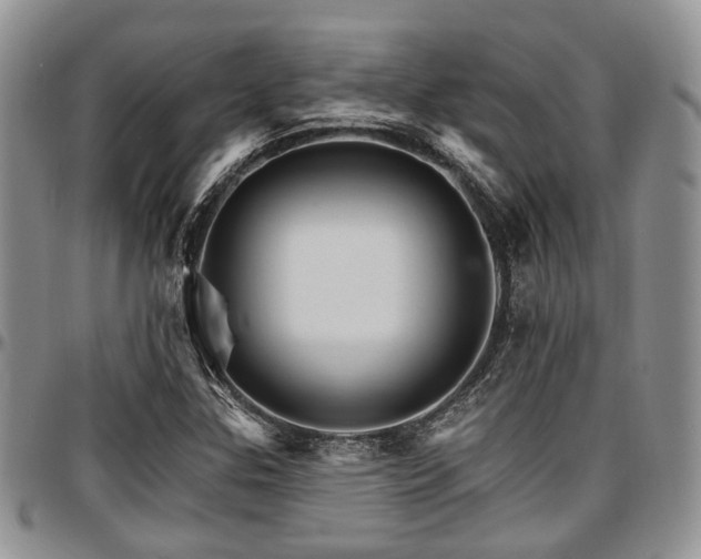 X0000097671307200802291451