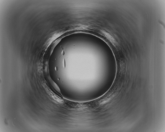 X0000097671308200802291451