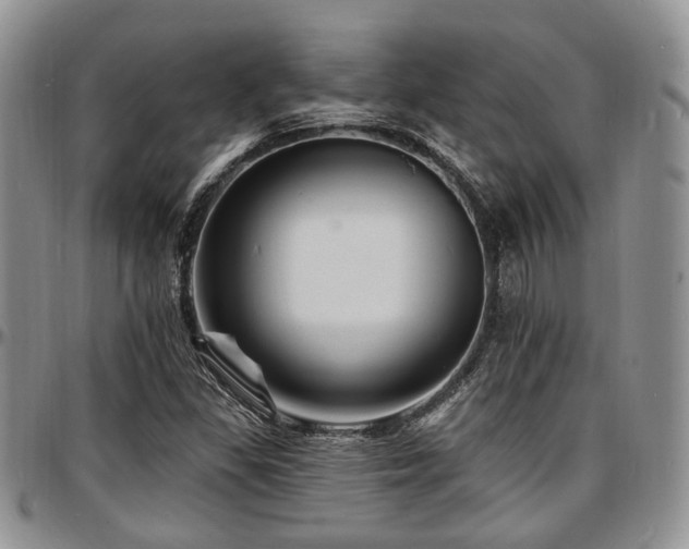 X0000097671309200802291451
