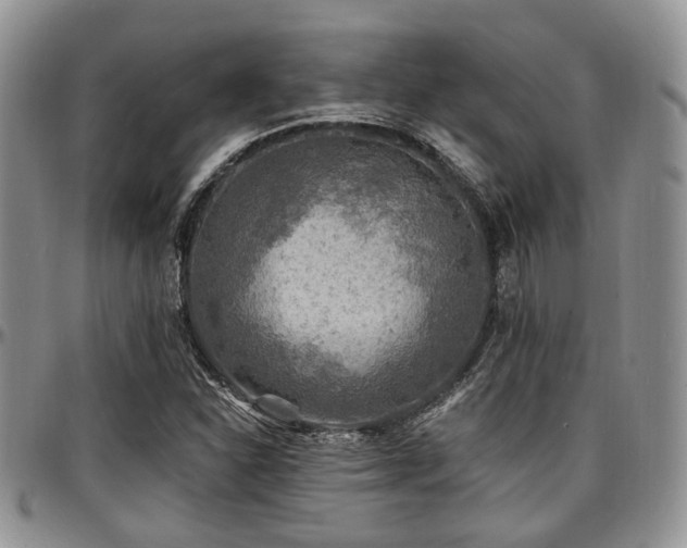 X0000097671310200802291451