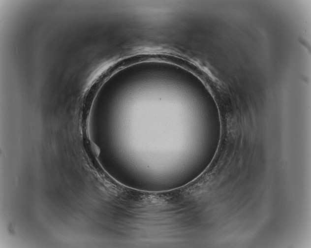 X0000097671311200802291451