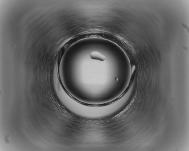 X0000097671313200802291451