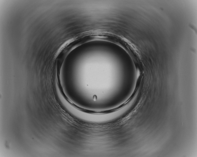 X0000097671314200802291451