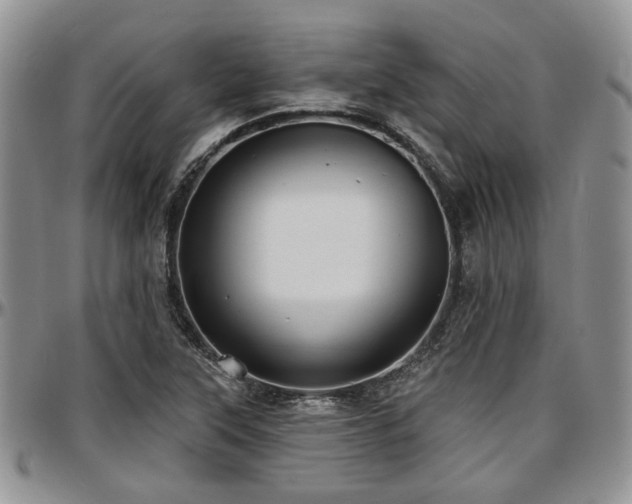 X0000097671315200802291451
