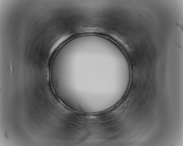 X0000097671317200802291451