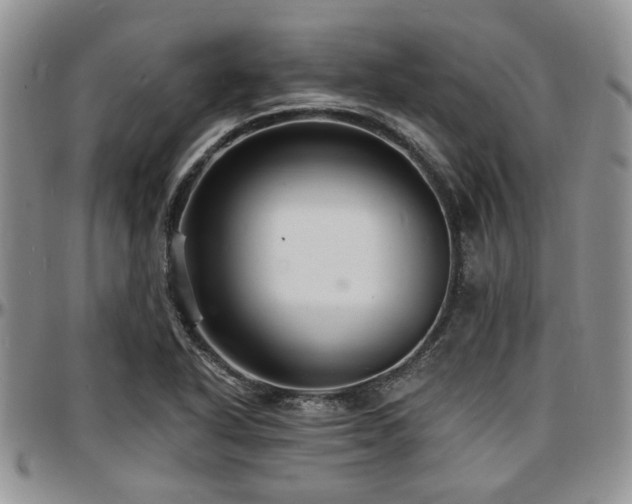 X0000097671318200802291451
