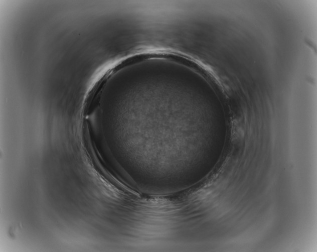 X0000097671319200802291451