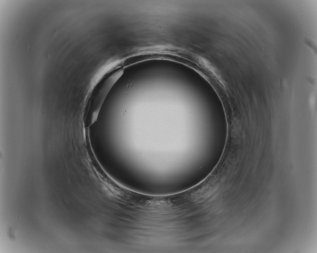 X0000097671320200802291451