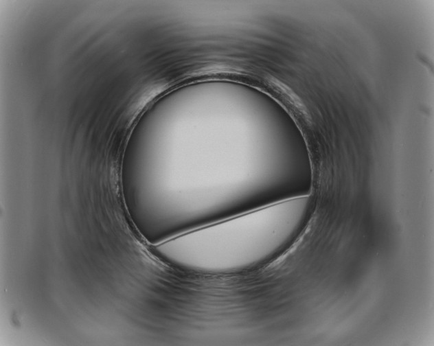 X0000097671321200802291451