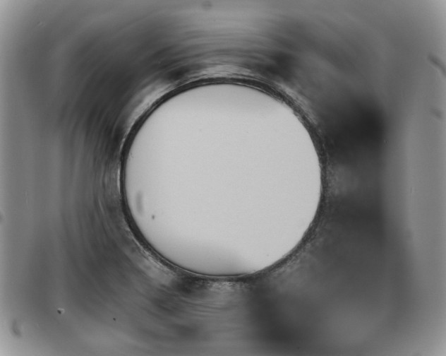 X0000097671322200802291451