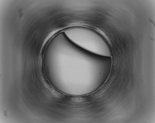 X0000097671323200802291451