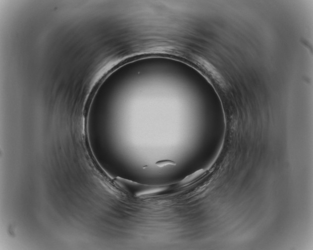 X0000097671324200802291451