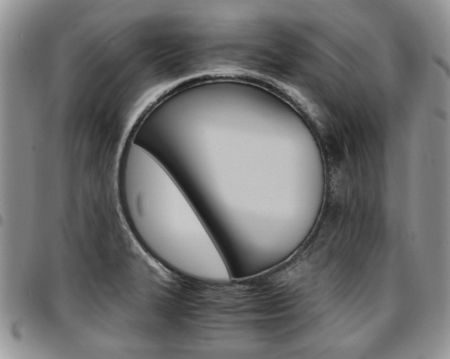 X0000097671327200802291451