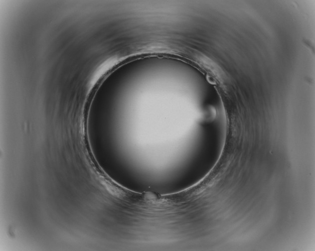 X0000097671328200802291451