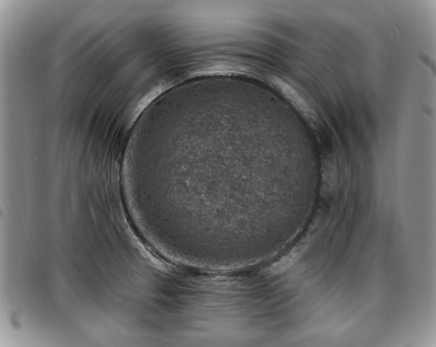 X0000097671329200802291451