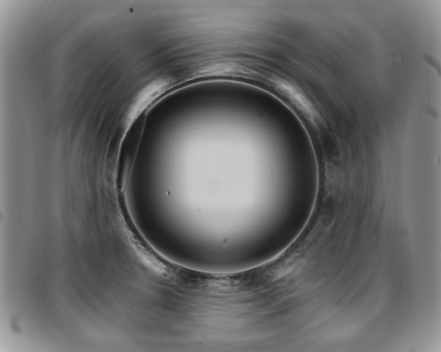 X0000097671330200802291451