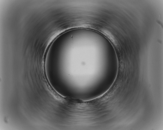 X0000097671332200802291451