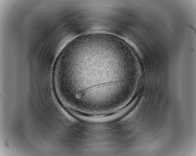 X0000097671333200802291451