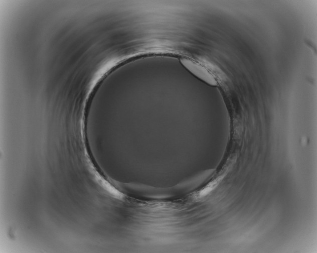 X0000097671334200802291451