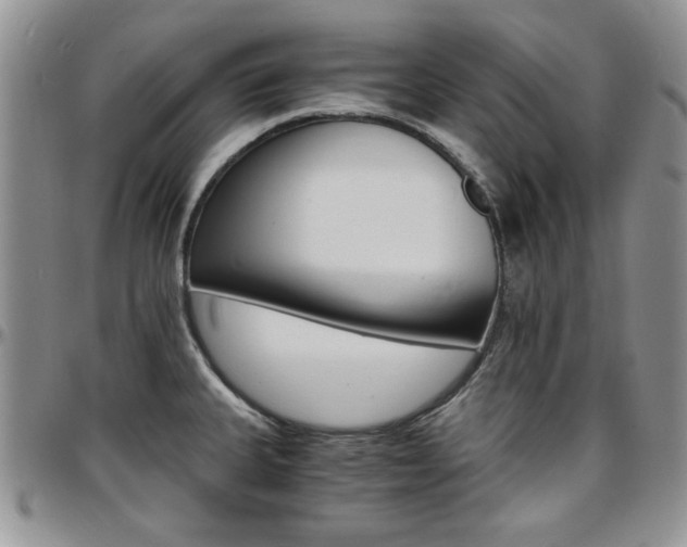 X0000097671335200802291451