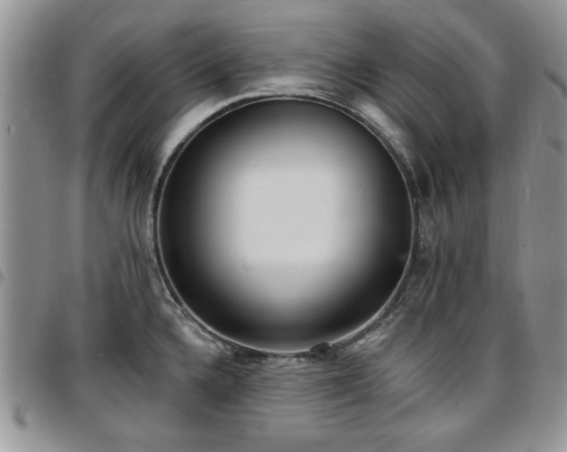 X0000097671336200802291451